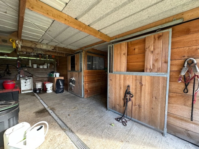 Photos 2 - Équestre - Charmante propriété équestre de 5,34ha (40)