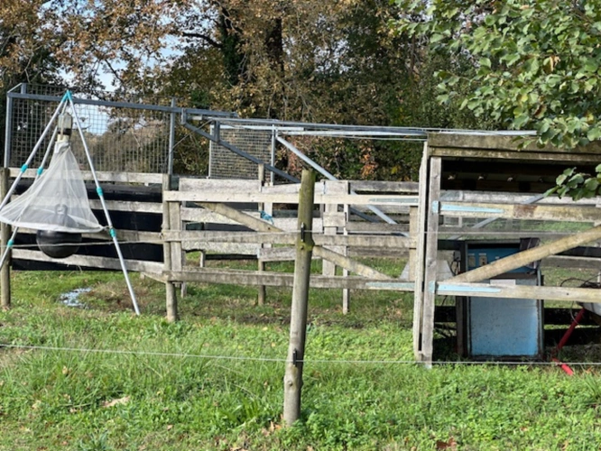 Photos 3 - Équestre - Charmante propriété équestre de 5,34ha (40)