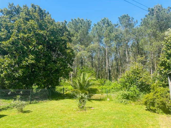 Photos 9 - Équestre - Charmante propriété équestre de 5,34ha (40)