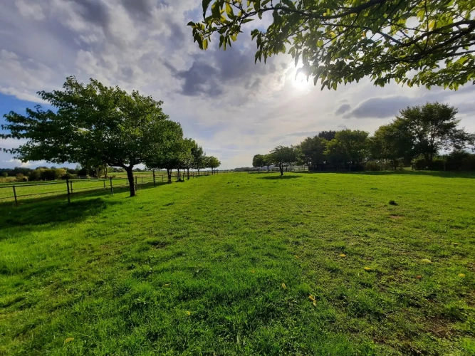 Photos 3 - Équestre - Propriété équestre de charme avec longère rénovée sur 1,3 ha – 20 min de Royan