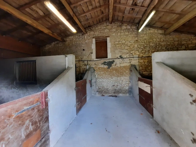 Photos 13 - Équestre - Propriété équestre de charme avec longère rénovée sur 1,3 ha – 20 min de Royan