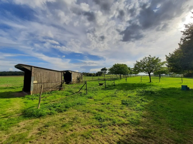 Photos 16 - Équestre - Propriété équestre de charme avec longère rénovée sur 1,3 ha – 20 min de Royan
