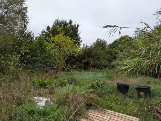 Photos 2 - Foncière - Terrain industriel à vendre  LUMBIN (38) 2000 m²