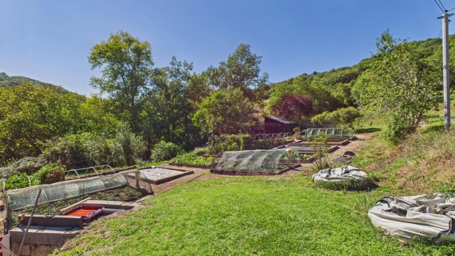 Photos 9 - Prestige - Domaine