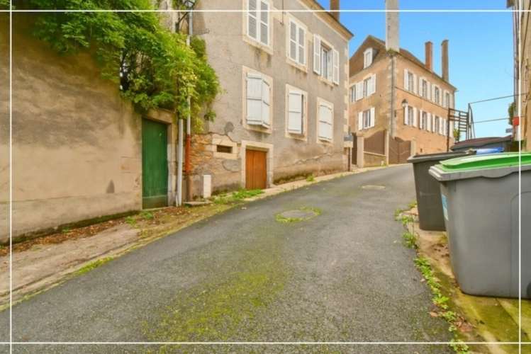 Photos 2 - Prestige - Propriete à vendre 10 pièces CHATEAUMEILLANT (18)