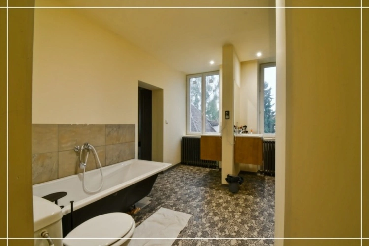 Photos 45 - Prestige - Propriete à vendre 10 pièces CHATEAUMEILLANT (18)