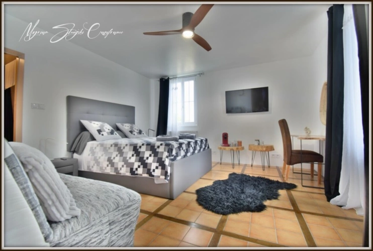 Photos 20 - Prestige - propriete à vendre 11 pièces proche de PONTONX-SUR-L'ADOUR (40)MAISON DE MAITRE DE 450 M² ET SES DEPENDANCES