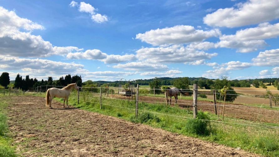 Photos 10 - Équestre - Domaine d’exception au cœur du Lauragais (11)