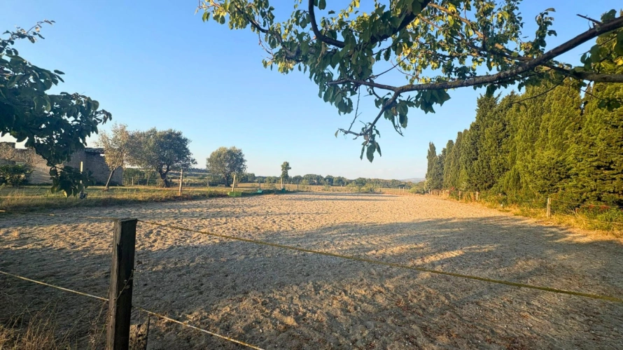 Photos 14 - Équestre - Domaine d’exception au cœur du Lauragais (11)
