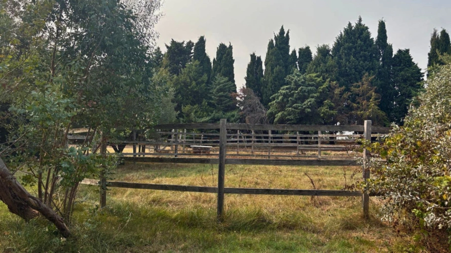Photos 15 - Équestre - Domaine d’exception au cœur du Lauragais (11)