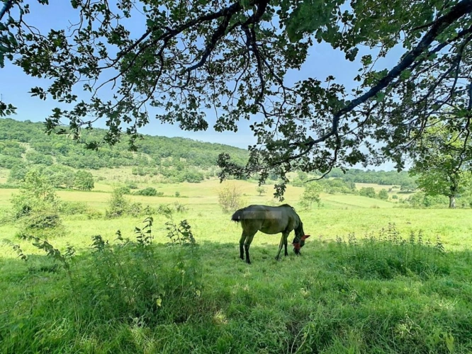 Photos 14 - Touristique - Domaine