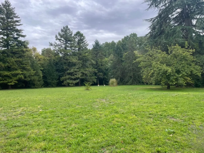 Photos 2 - Équestre - Demeure de caractère avec installations équestres sur 3 ha à 10 mn de COGNAC (16)