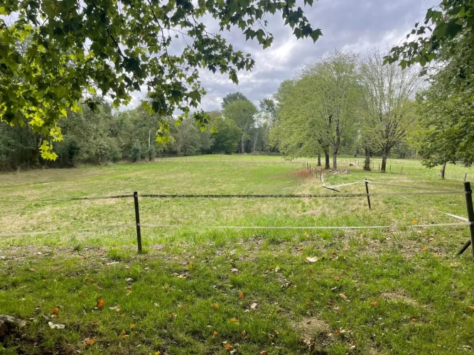 Photos 12 - Équestre - Demeure de caractère avec installations équestres sur 3 ha à 10 mn de COGNAC (16)