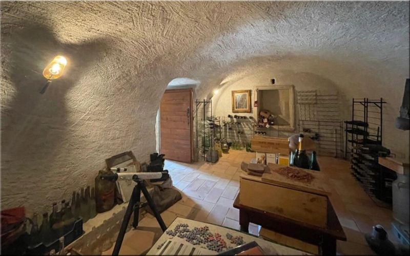 Photos 24 - Touristique - Propriete à vendre 8 pièces (01200) Corps de ferme du 19ᵉ siècle rénové, 1,2 hectares de nature et vue panoramique à couper le souffle !