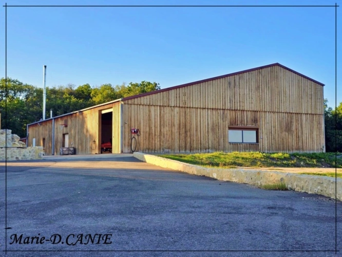 Photos 17 - Prestige - Domaine de prestige avec maison, gîte et dépendances, dans le Nord du Gers, à La Romieu, aux portes des Landes et du Lot-et-Garonne – à seulement 15 min de Lectoure