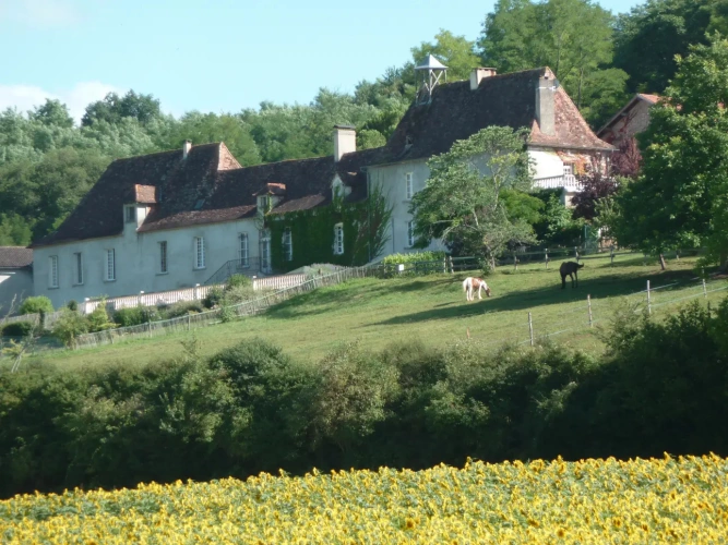 Photos 2 - Prestigious - In Dordogne, rare Chartreuse and her vast domain of 100ha in one piece (lodgings, swimming pool, tennis, equestrian installations)