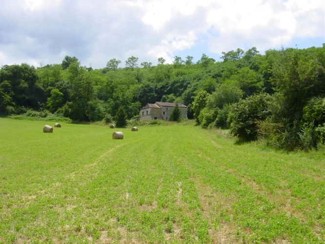 Photos 13 - Prestigious - In Dordogne, rare Chartreuse and her vast domain of 100ha in one piece (lodgings, swimming pool, tennis, equestrian installations)