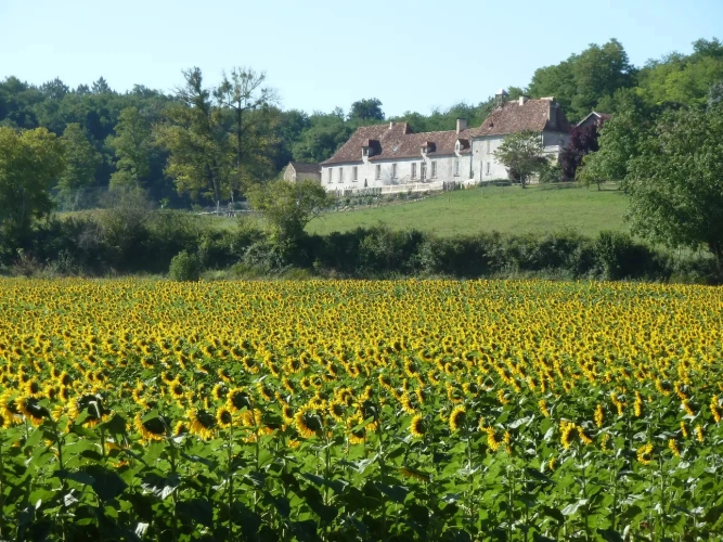 Photos 15 - Prestigious - In Dordogne, rare Chartreuse and her vast domain of 100ha in one piece (lodgings, swimming pool, tennis, equestrian installations)
