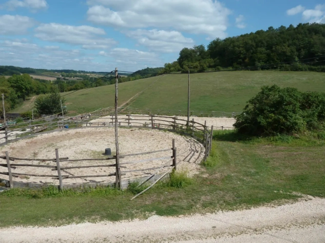 Photos 17 - Prestigious - In Dordogne, rare Chartreuse and her vast domain of 100ha in one piece (lodgings, swimming pool, tennis, equestrian installations)