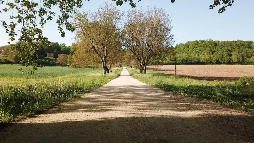 Photos 18 - Prestigious - In Dordogne, rare Chartreuse and her vast domain of 100ha in one piece (lodgings, swimming pool, tennis, equestrian installations)