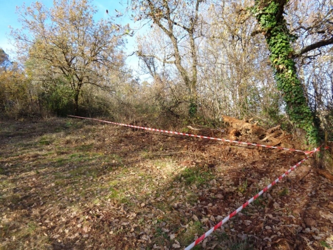 Photos 2 - Foncière - Terrain à vendre  ALBI (81)