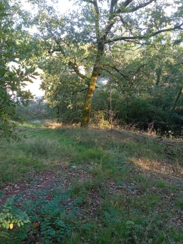 Photos 4 - Foncière - Terrain à vendre  ALBI (81)
