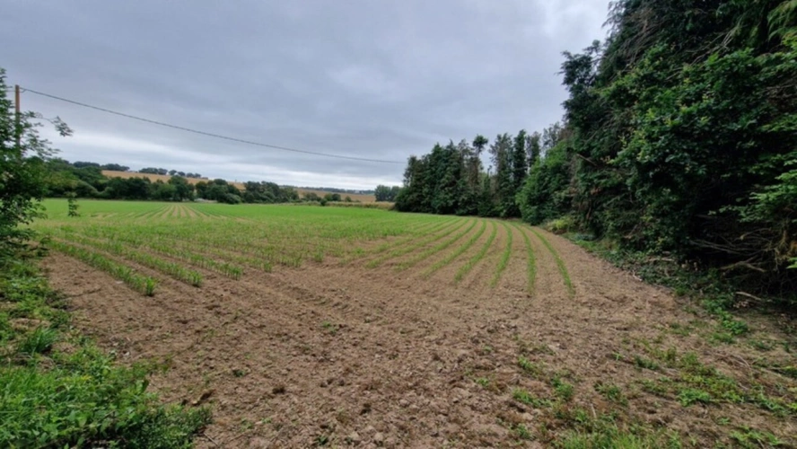 Photos 2 - Foncière - Terrain à vendre de 29 560,00 m² NOYAL PONTIVY (56) hangars 427 m²+ 230m²