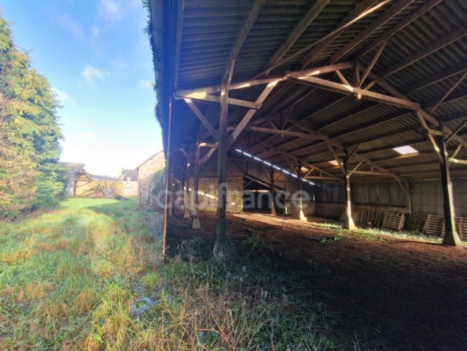 Photos 3 - Foncière - Terrain à vendre de 29 560,00 m² NOYAL PONTIVY (56) hangars 427 m²+ 230m²