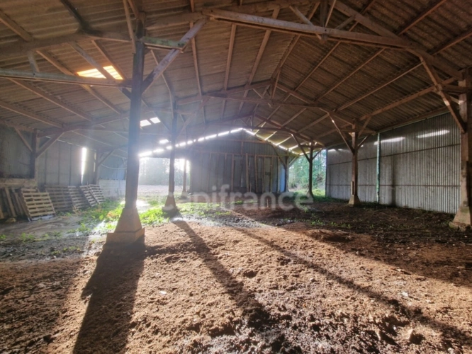 Photos 4 - Foncière - Terrain à vendre de 29 560,00 m² NOYAL PONTIVY (56) hangars 427 m²+ 230m²