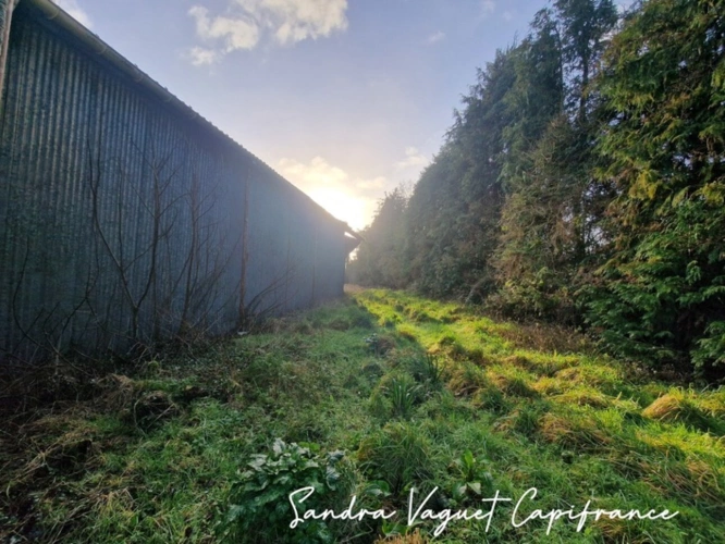Photos 6 - Foncière - Terrain à vendre de 29 560,00 m² NOYAL PONTIVY (56) hangars 427 m²+ 230m²