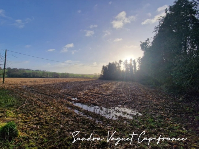 Photos 8 - Foncière - Terrain à vendre de 29 560,00 m² NOYAL PONTIVY (56) hangars 427 m²+ 230m²