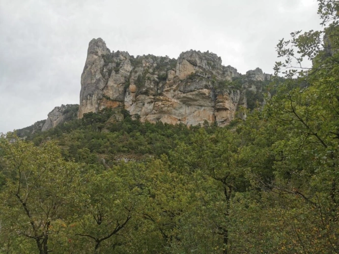 Photos 7 - Forestière - Terrain