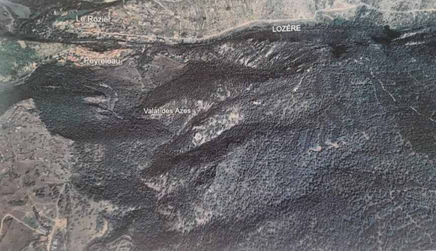 Photos 1 - Forestière - Terrain