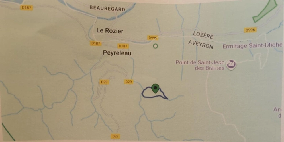 Photos 4 - Forestière - Terrain