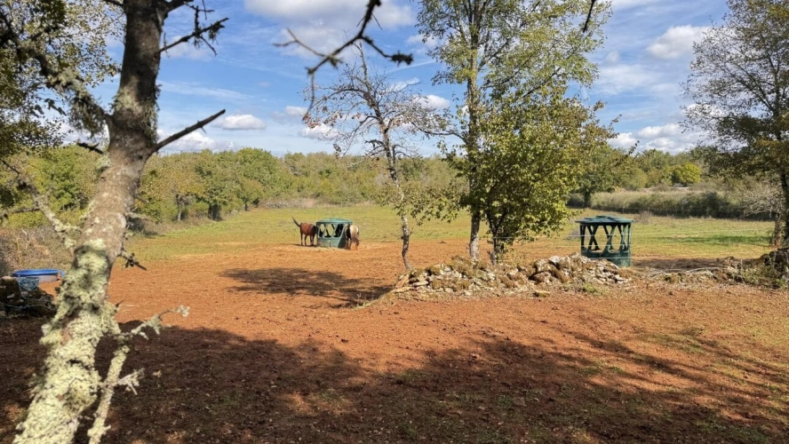 Photos 6 - Prestige - Propriété