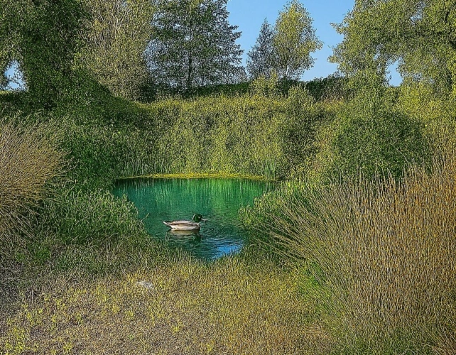 Photos 16 - Prestige - Propriété