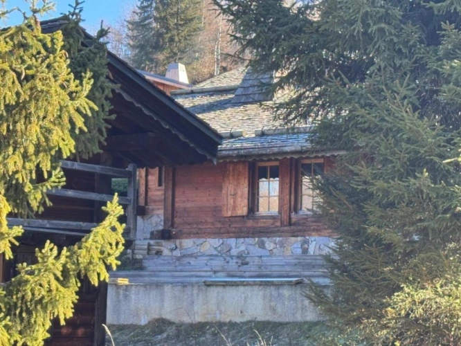 Photos 20 - Prestige - Chalet en bois