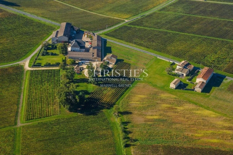 Photos 3 - Viticole - Très beau domaine viticole - satellite de  Saint-Emilion avec luxueux Château