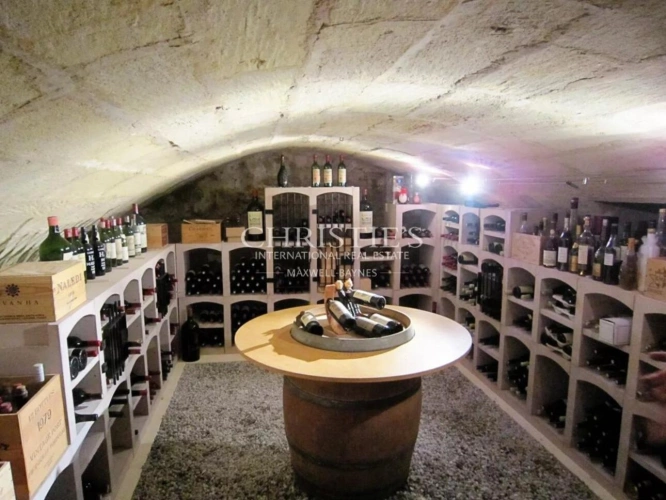 Photos 10 - Viticole - Très beau domaine viticole - satellite de  Saint-Emilion avec luxueux Château