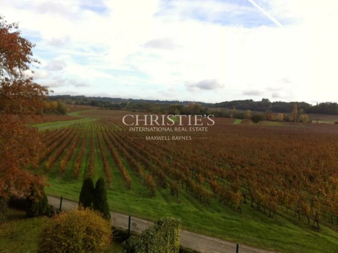 Photos 14 - Viticole - Très beau domaine viticole - satellite de  Saint-Emilion avec luxueux Château