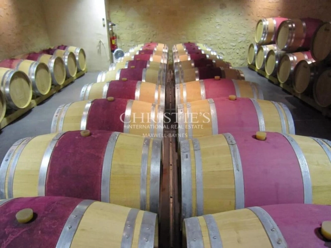 Photos 17 - Viticole - Très beau domaine viticole - satellite de  Saint-Emilion avec luxueux Château