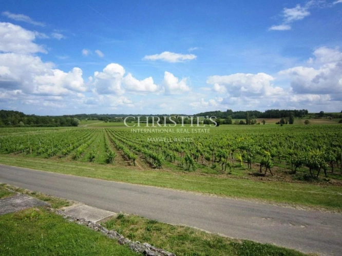 Photos 21 - Viticole - Très beau domaine viticole - satellite de  Saint-Emilion avec luxueux Château