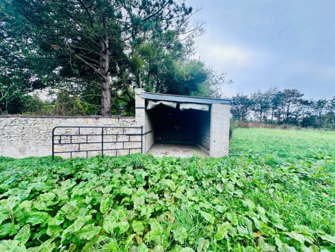 Photos 18 - Prestige - Belle opportunité – Maison de Maître à vendre avec dépendances sur 1,5 hectare, à 10 min de la mer et 20 min de Bayeux – La Cambe (14)