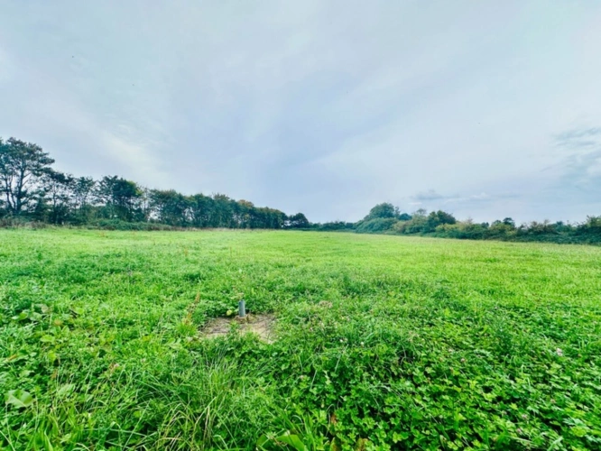 Photos 19 - Prestige - Belle opportunité – Maison de Maître à vendre avec dépendances sur 1,5 hectare, à 10 min de la mer et 20 min de Bayeux – La Cambe (14)
