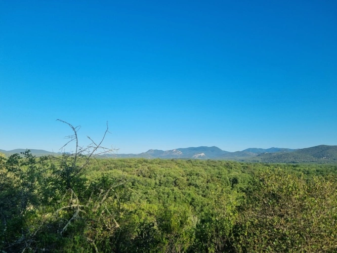 Photos 1 - Foncière - Terrain à vendre avec bâti en pierre  SAUVE (30)