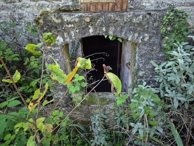 Photos 17 - Touristique - Cœur de campagne charentaise, Corps de Ferme avec plusieurs maisons et nombreuses dépendances
