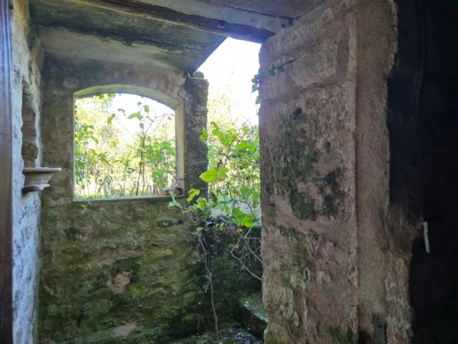 Photos 64 - Touristique - Cœur de campagne charentaise, Corps de Ferme avec plusieurs maisons et nombreuses dépendances