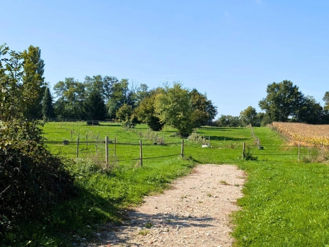Photos 12 - Équestre - OPPORTUNITÉ - Charmante propriété équestre (01)