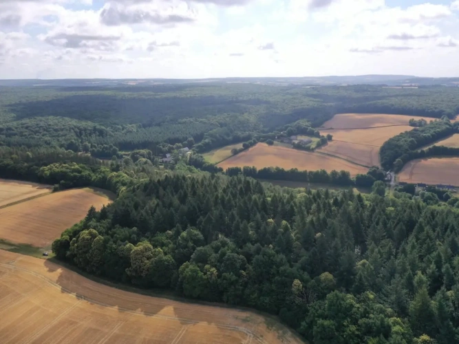 Photos 1 - Forestière - RICHE FUTAIE RÉSINEUSE D’UN SEUL TENANT