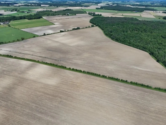 Photos 1 - Agricole - EXPLOITATION CÉRÉALIÈRE 211 HECTARES – TERRES PRÊTES À EXPLOITER